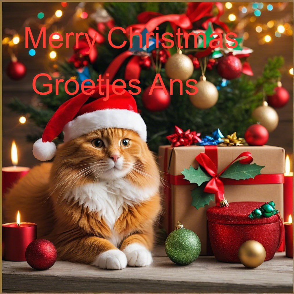 Fluffy Orange Cat in Santa Hat by Christmas Tree