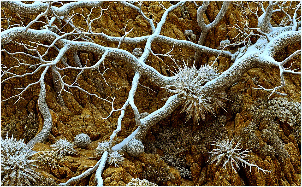 Surreal Winter Landscape with Frost-Covered Branches