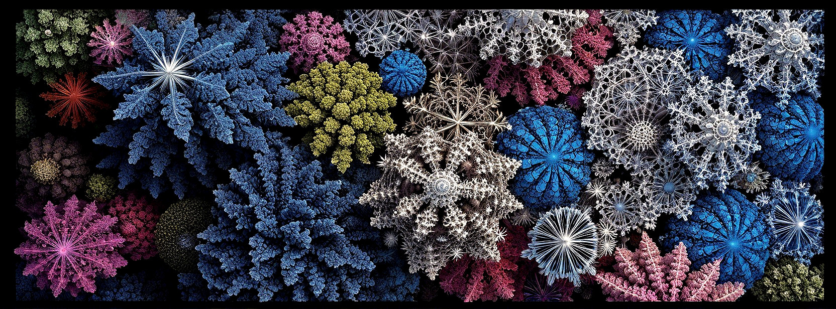 Vibrant Coral-Like Structures in Diverse Colors
