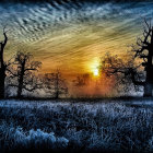 Vibrant Landscape with Swirling Sunset Sky and Flowers