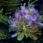 Fairy Doll with Purple Wings in Enchanted Forest Setting