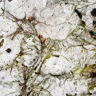 Charming Village in a Snow-Covered Winter Landscape