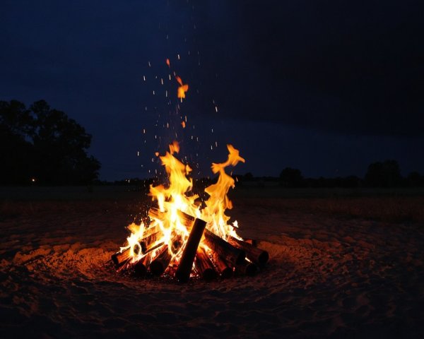 Vibrant Campfire Scene with Warm Glow and Trees