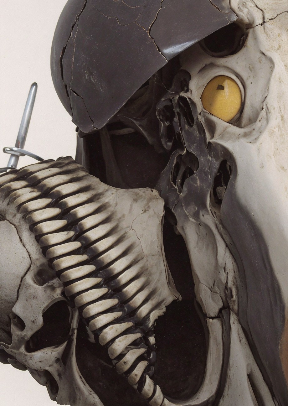 Close-Up of Skull with Industrial and Natural Elements