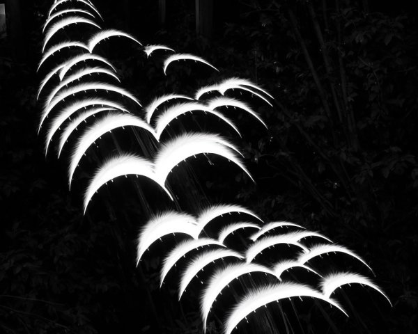 Glowing Crescent-Shaped Outdoor Lights in Darkness