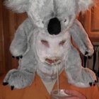 Playful Person in Fluffy Koala Costume with Drink