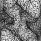 Close-up of a face with cracked stone-like surfaces
