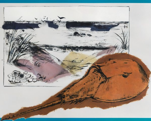 Illustrated Beach Scene with Stingray and Soft Colors