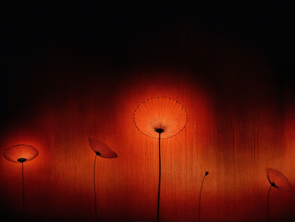 Silhouette of Flower-Like Shapes on Dark Gradient Background