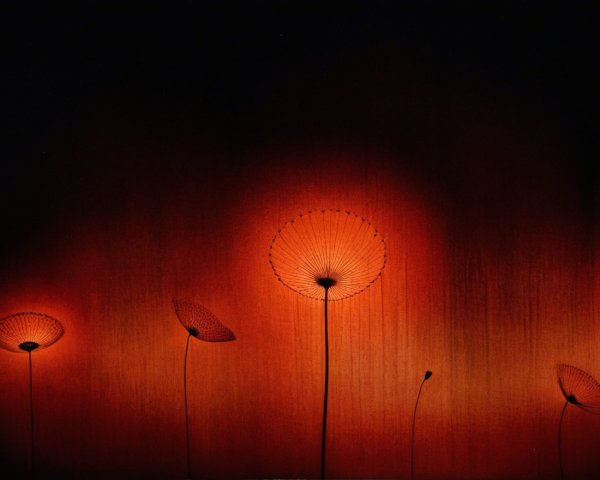 Silhouette of Flower-Like Shapes on Dark Gradient Background