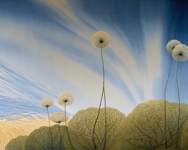 Serene Landscape with Dandelion-Like Flowers and Sky
