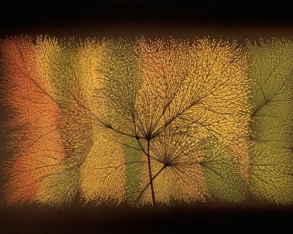 Abstract Design of Intertwining Branches and Leaves
