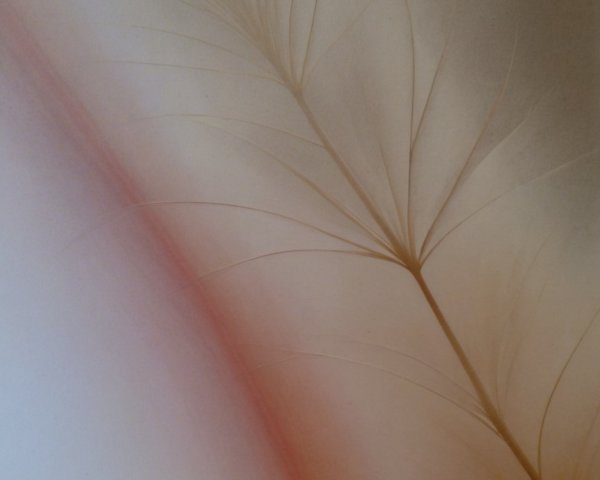Delicate Composition of Soft Pale Colors and Plant Stem