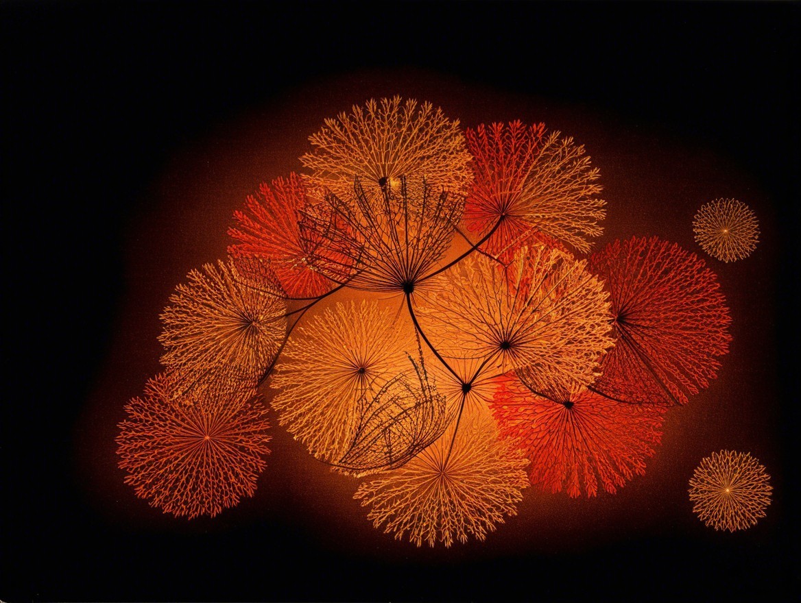 Colorful Abstract Forms Resembling Dandelion Seeds