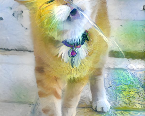 Fluffy Orange Cat Enjoys Water Spray on Stone Steps