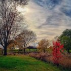 Autumn Landscape with Colorful Trees and Hills