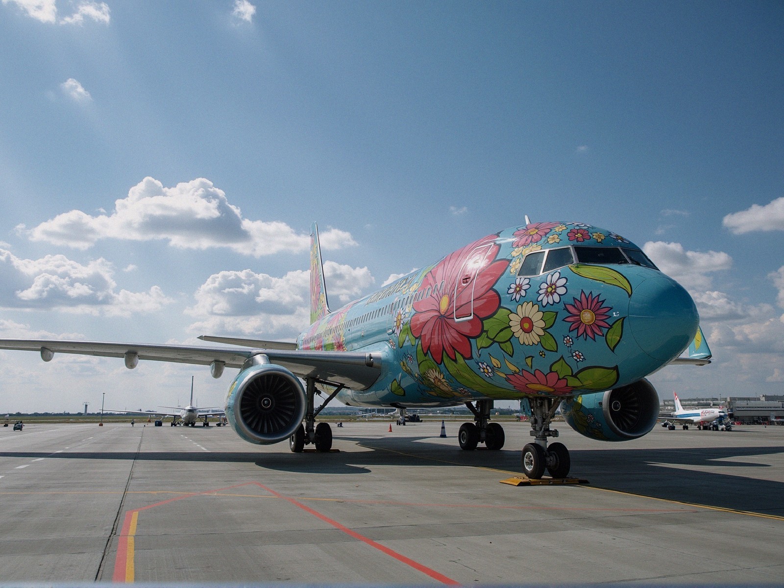 Brightly Colored Floral Blue Airplane on Asphalt Runway