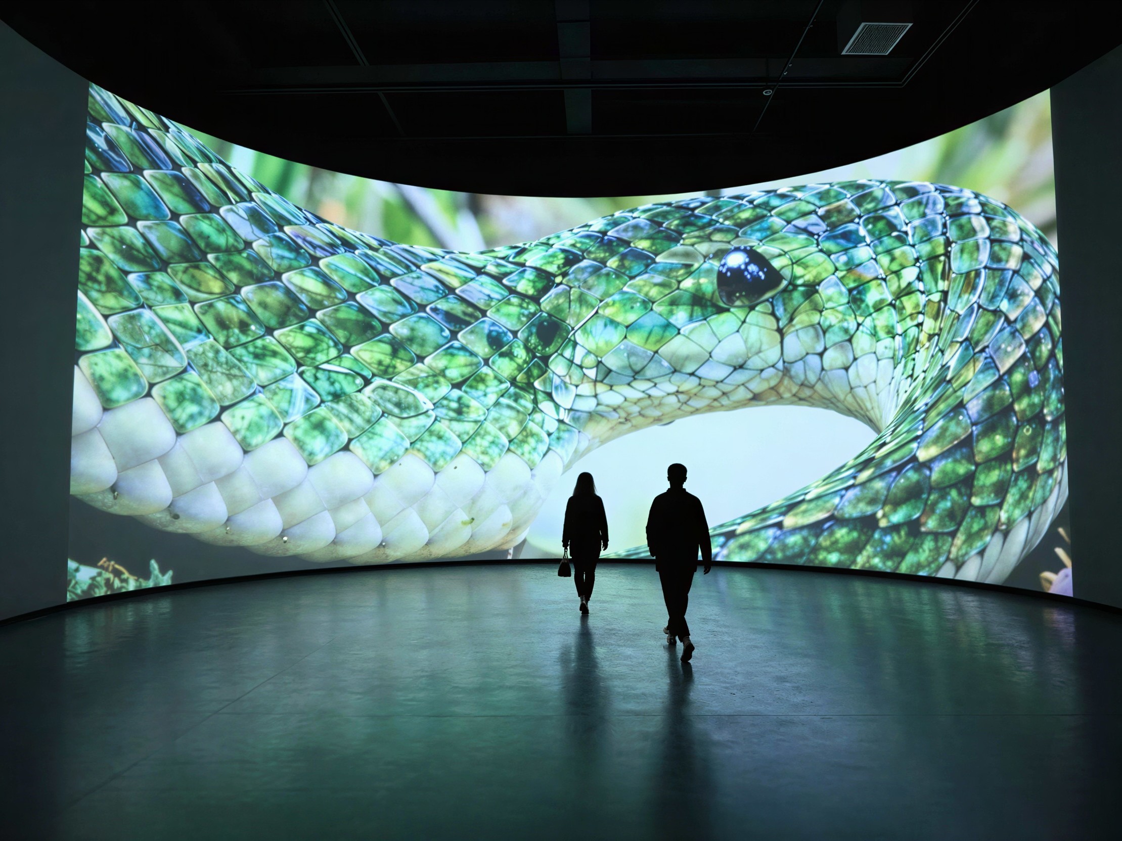Silhouetted Figures in Exhibition with Snake Display