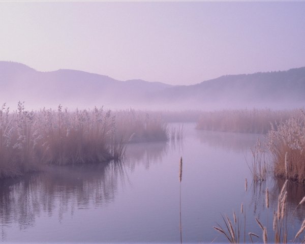 Tranquil River in Misty Reeds and Hazy Hills