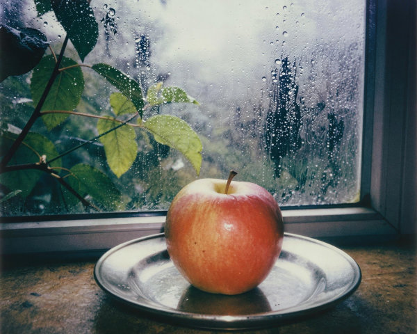 Shiny Red Apple on Silver Plate by Rainy Window