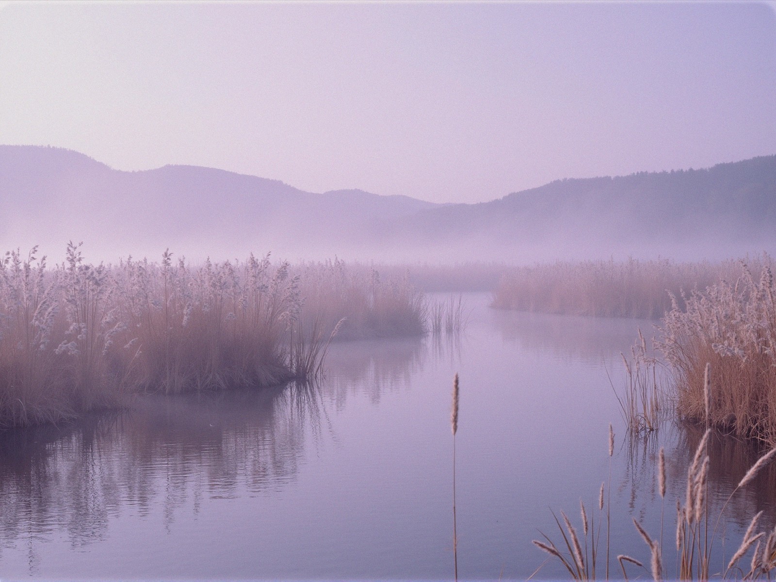 Tranquil River in Misty Reeds and Hazy Hills