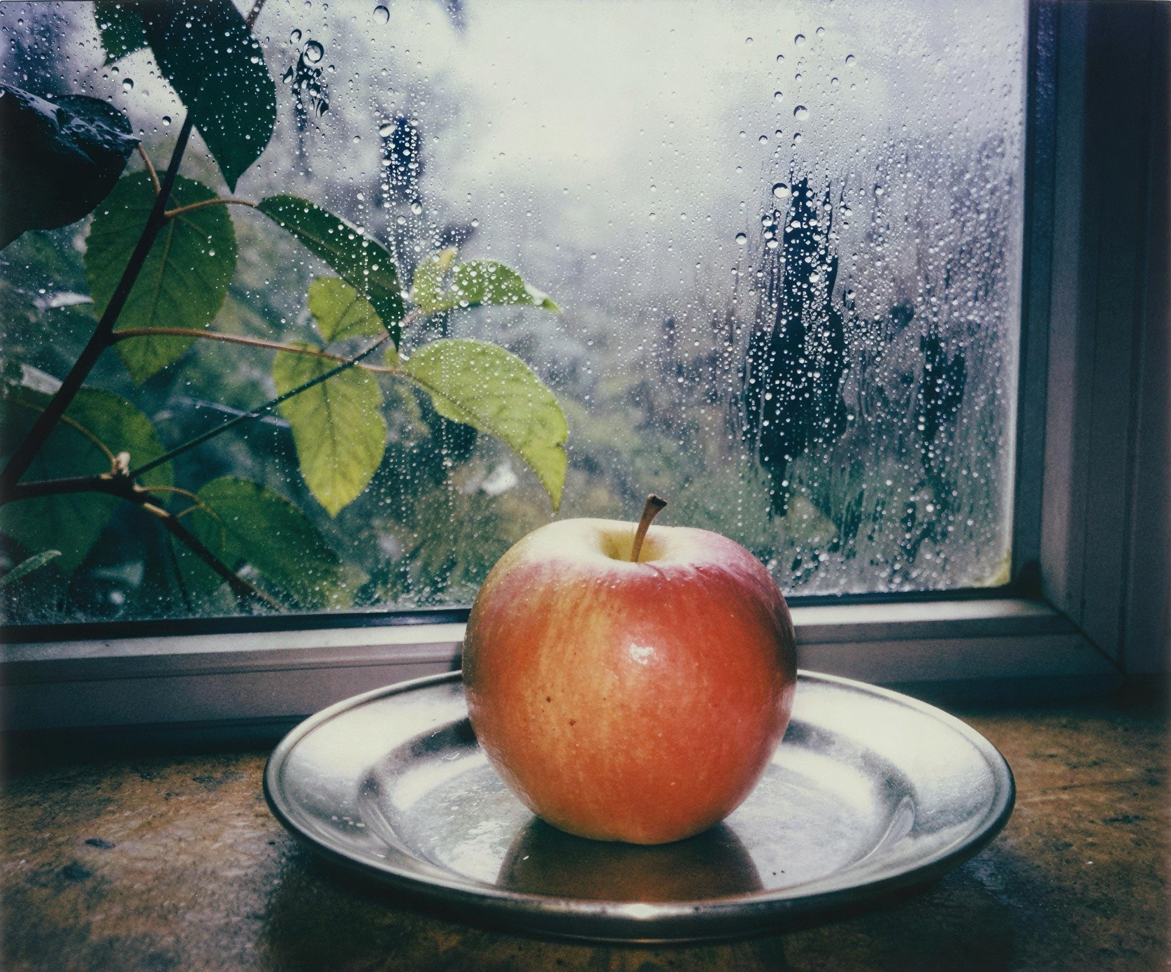 Shiny Red Apple on Silver Plate by Rainy Window