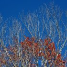 Solitary Figure on Geometric Blocks Under Blue Sky