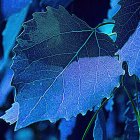 Vibrant Swirling Sky with Luminous Moon and Waters