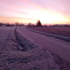 Vibrant Sunrise Landscape with Flowers and Mountains