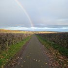 Vibrant Landscape with Winding Stone Path and Rainbow
