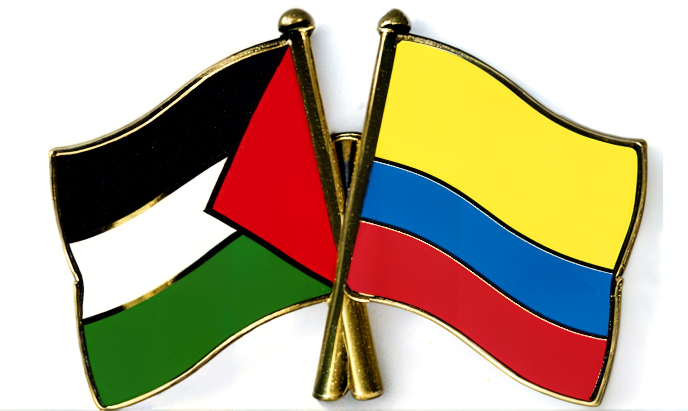 Palestine and Colombia Flags on Gold Pin Symbolizing Solidarity