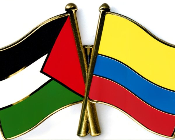 Palestine and Colombia Flags on Gold Pin Symbolizing Solidarity
