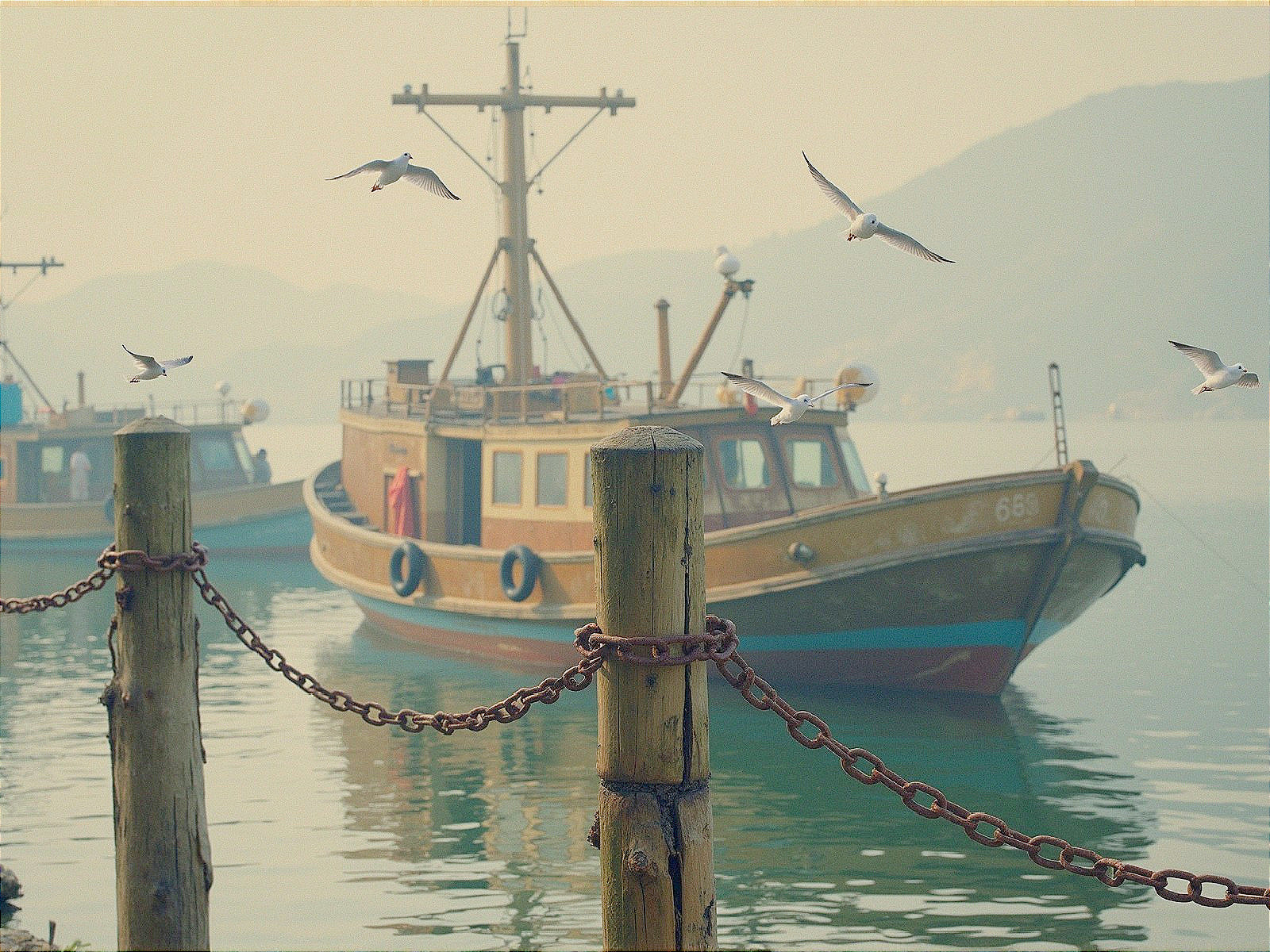 Serene Harbor Scene with Fishing Boats and Seagulls
