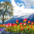Surreal Landscape with Colorful Tree and Orbs