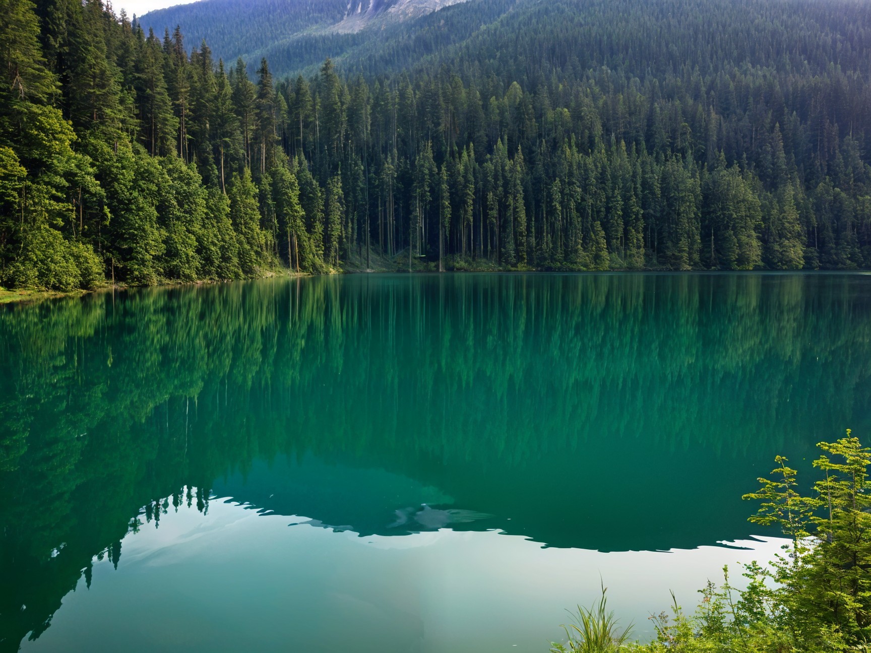Tranquil Lake with Turquoise Water and Lush Forests