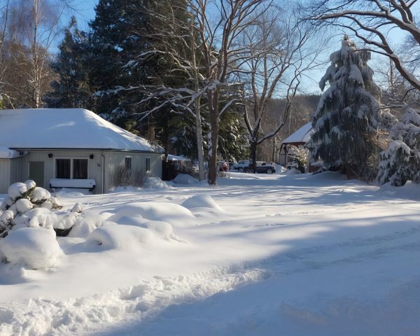 Winter Backyard Scene with Snow-Covered Landscape