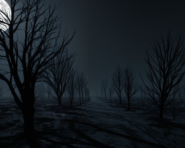 Haunting Landscape Under Full Moon and Misty Night