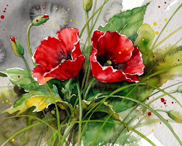Watercolor Painting of Red Poppies and Grass Details
