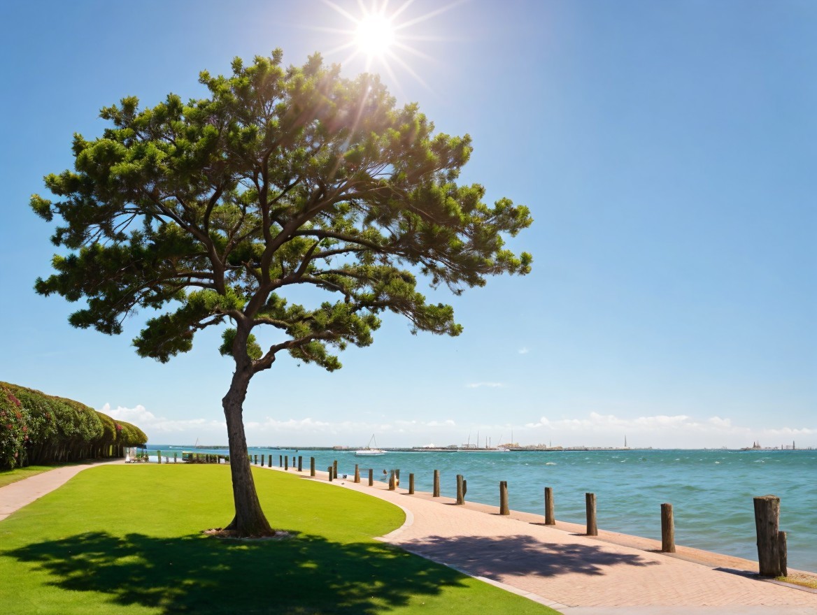 Waterfront Scene with Tree and Winding Path