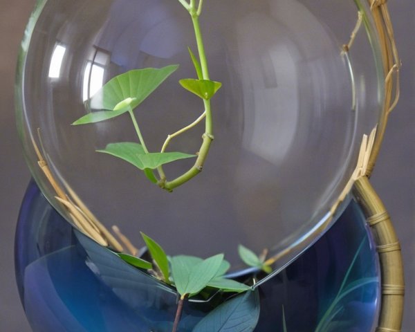 Glass Spheres with Greenery and Lotus Flower Display