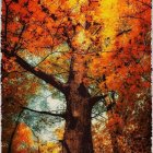 Whimsical Oil Painting of Glowing Ancient Tree