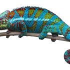 Vividly Colored Fantastical Lizard on a Branch