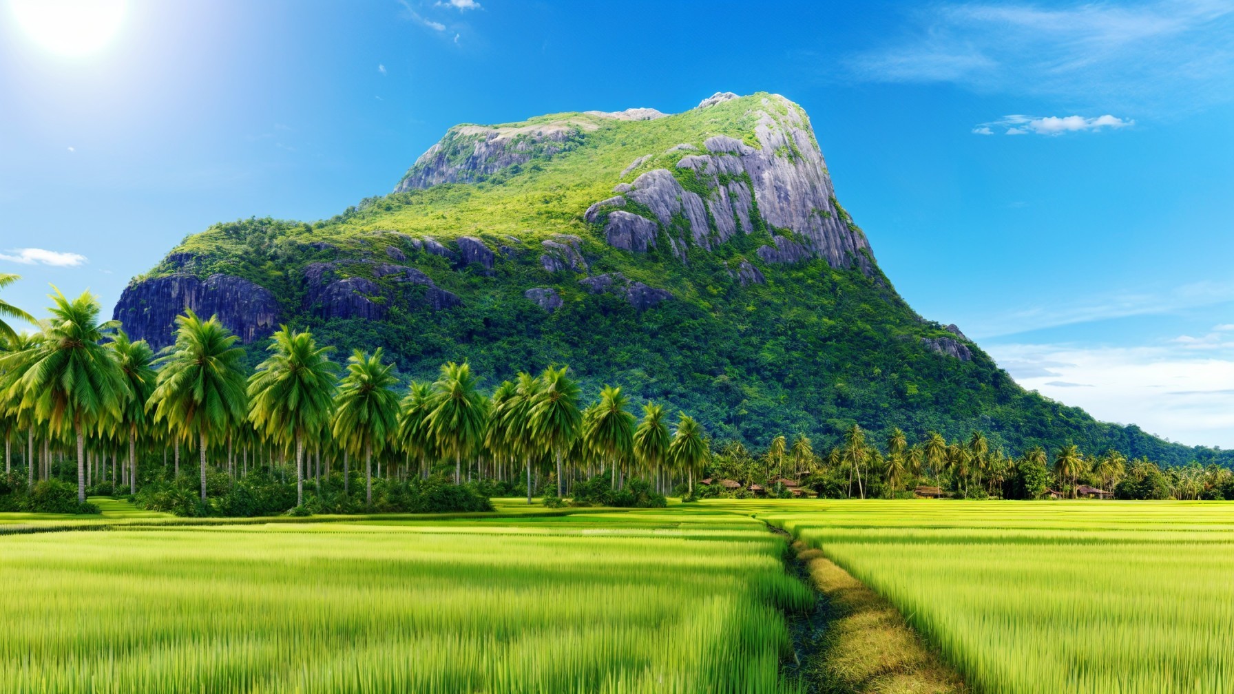 Lush Rice Fields and Majestic Mountain Landscape