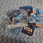 Insect with Black and Orange Markings on Textured Surface