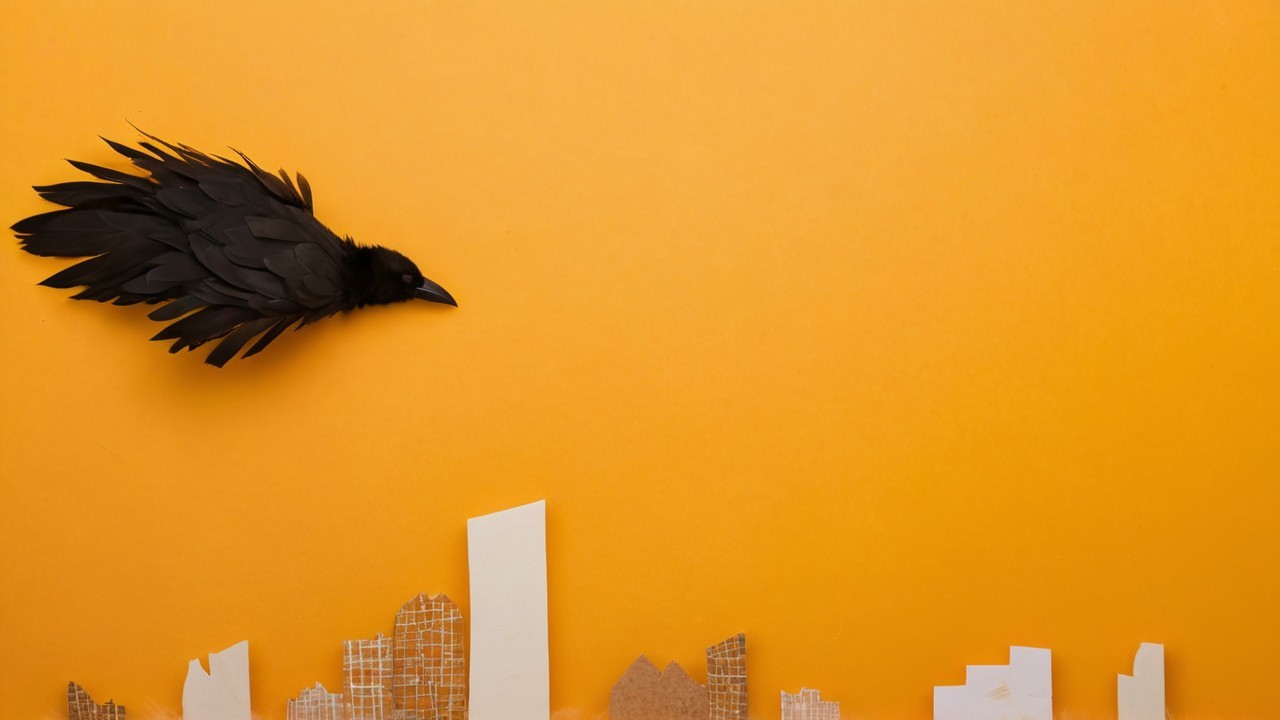 Black Bird in Flight Over Vibrant City Skyline