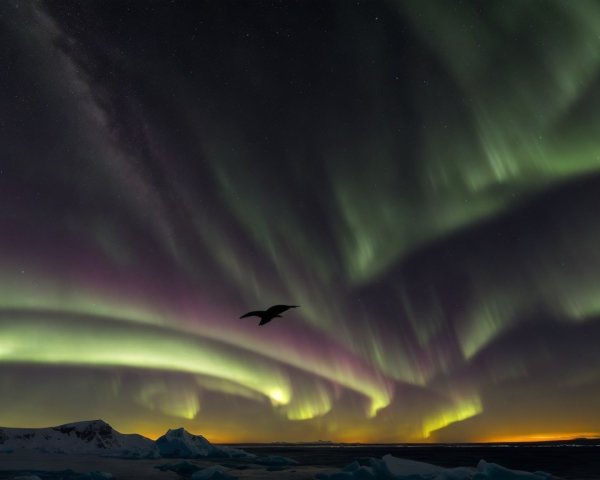 Northern Lights Illuminate Arctic Night Sky and Landscape