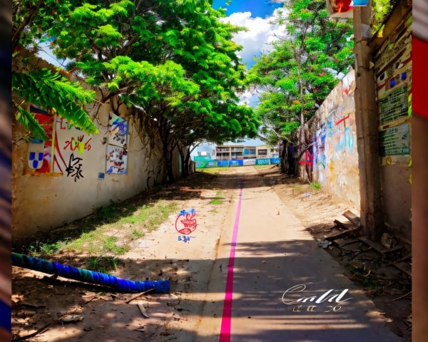 Vibrant Pathway with Graffiti and Lush Greenery