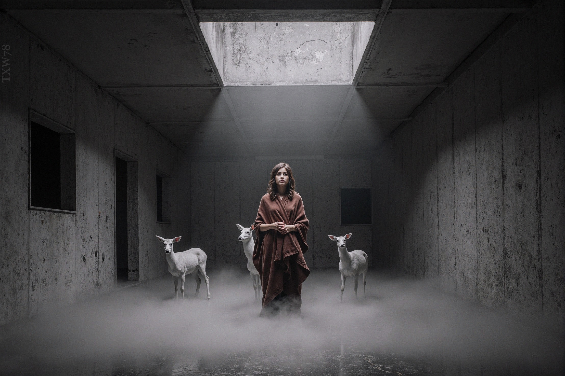 Woman in Cloak Surrounded by White Deer in Mist