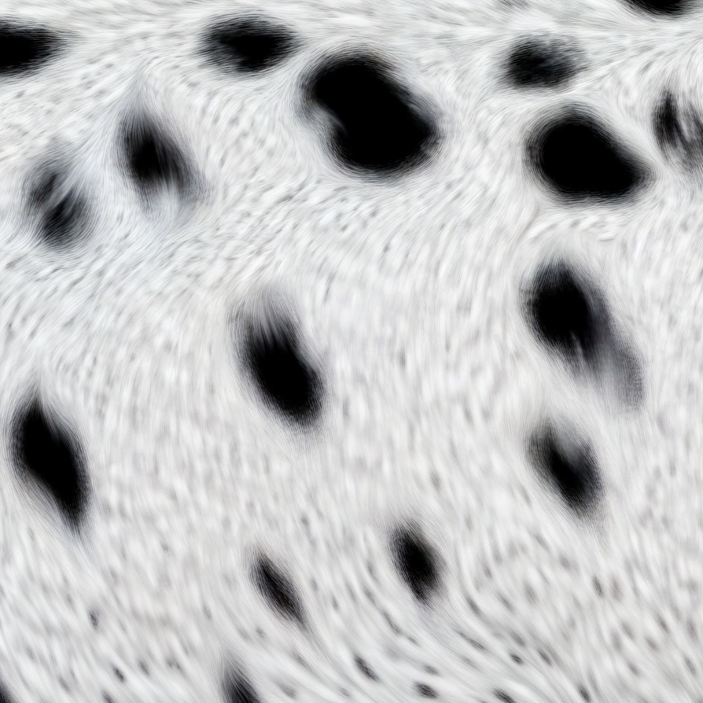 Abstract Black and White Fluid Pattern with Movement