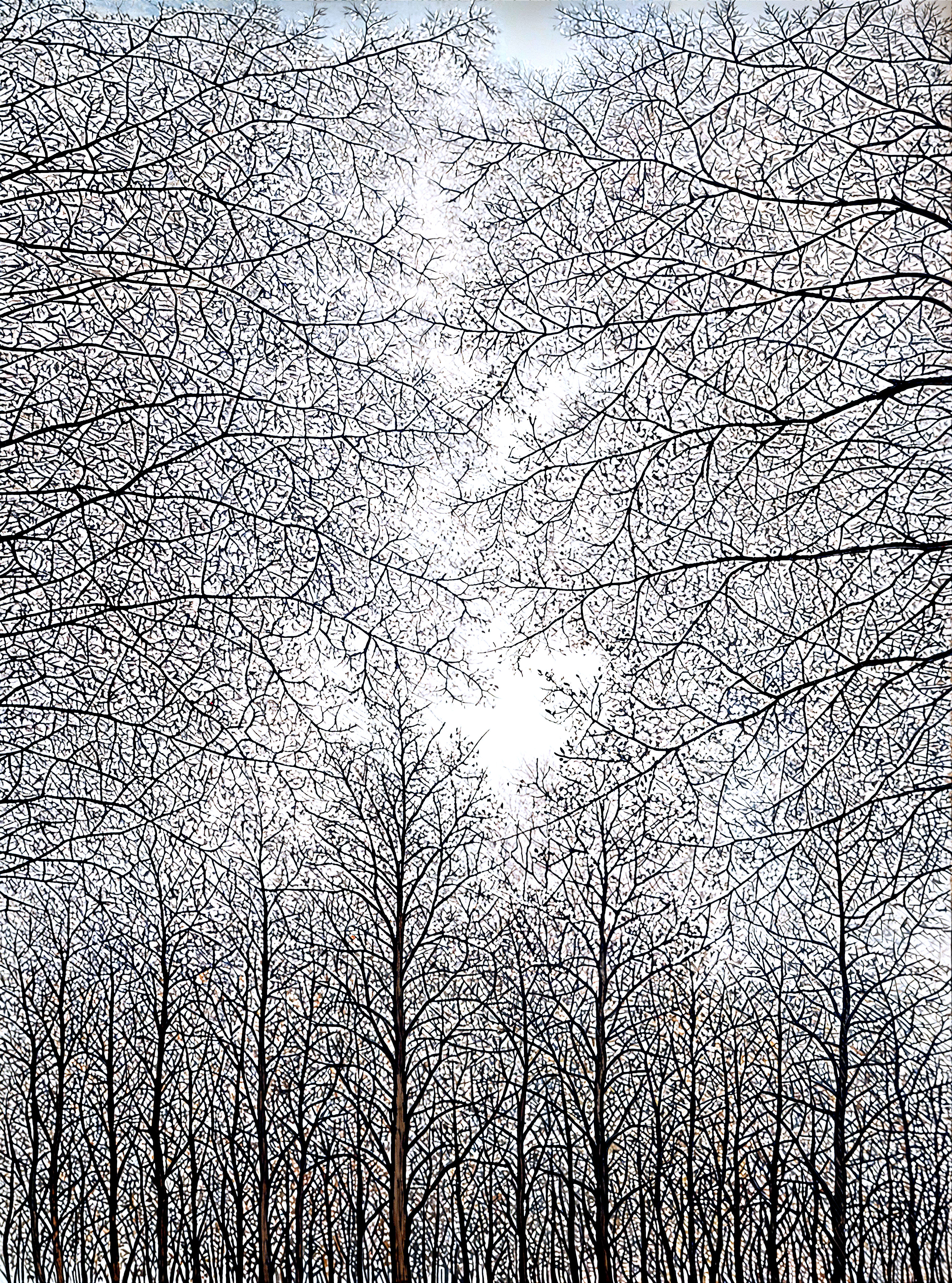Bare Tree Branches Creating a Web-Like Sky Pattern